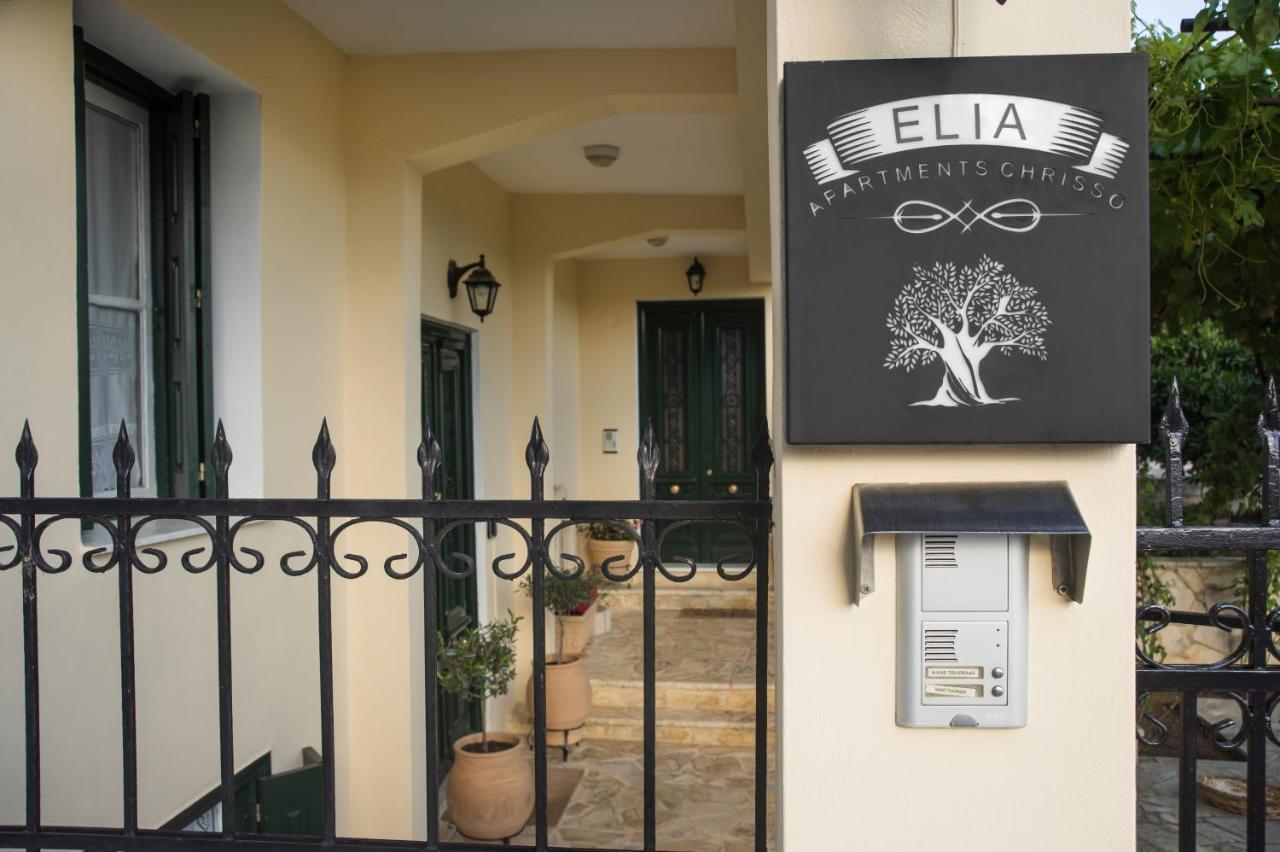 Elia Apartments Chrisso Дельфы Экстерьер фото